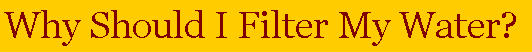 Text Box: Why Should I Filter My Water?